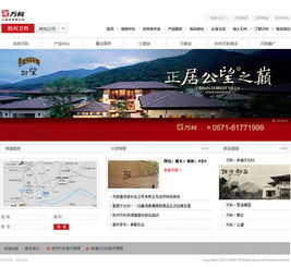 杭州頂尖品牌網(wǎng)站建設(shè)與軟件開(kāi)發(fā) 數(shù)字化轉(zhuǎn)型的核心驅(qū)動(dòng)力