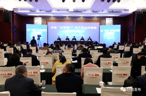 全省互聯網農產品出村進城工程建設推進會在盱眙召開，共筑農產品電商發展新藍圖