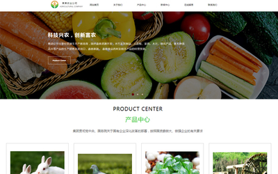 成都農(nóng)產(chǎn)品電商網(wǎng)站建設(shè)的發(fā)展趨勢 邁向智能化、品牌化與體驗(yàn)化